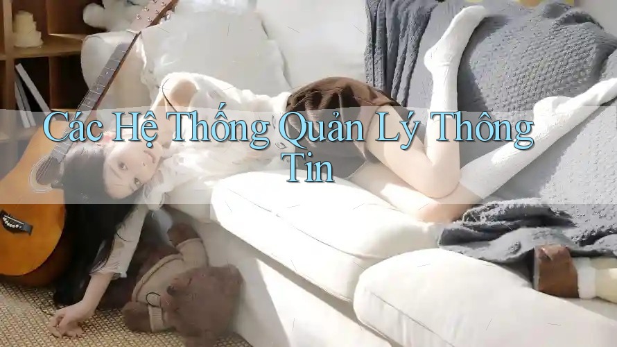 Các Hệ Thống Quản Lý Thông Tin