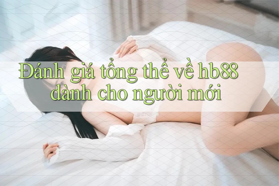Đánh giá tổng thể về hb88 dành cho người mới