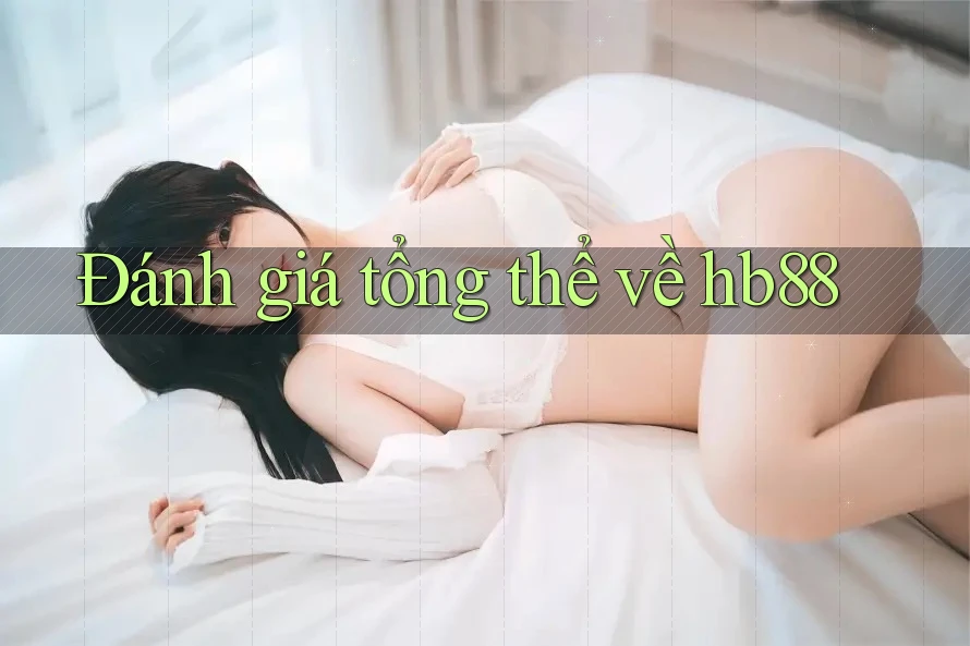 Đánh giá tổng thể về hb88
