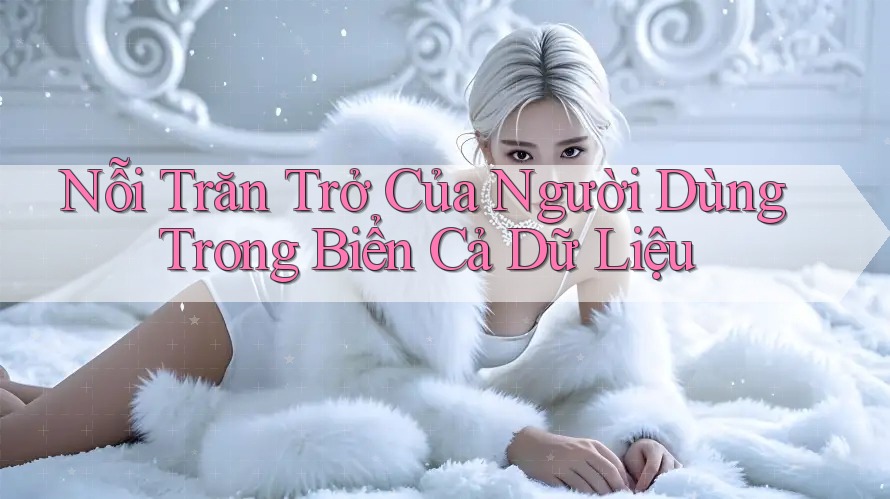Nỗi Trăn Trở Của Người Dùng Trong Biển Cả Dữ Liệu